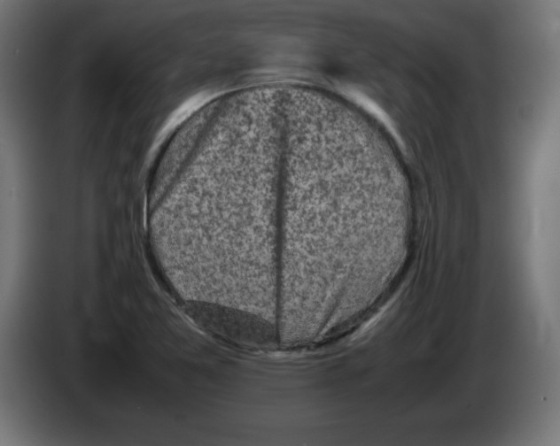 X0000083031365200703022017