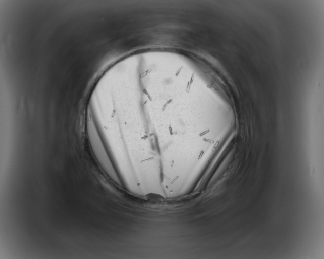 X0000083031366200703022017