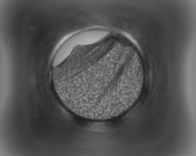 X0000083031367200703022017