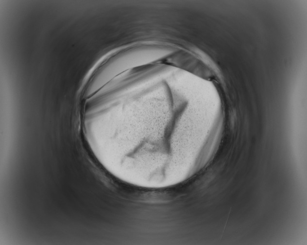 X0000083031368200703022017