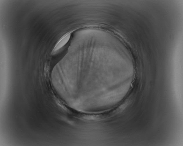 X0000083031369200703022017