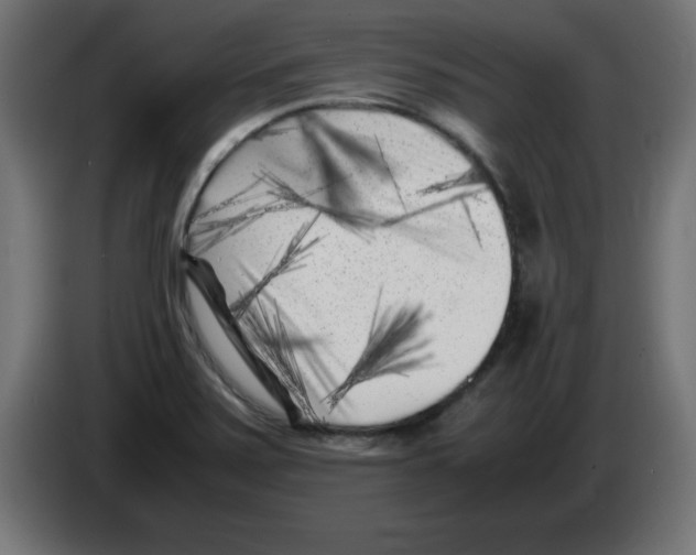 X0000083031371200703022017