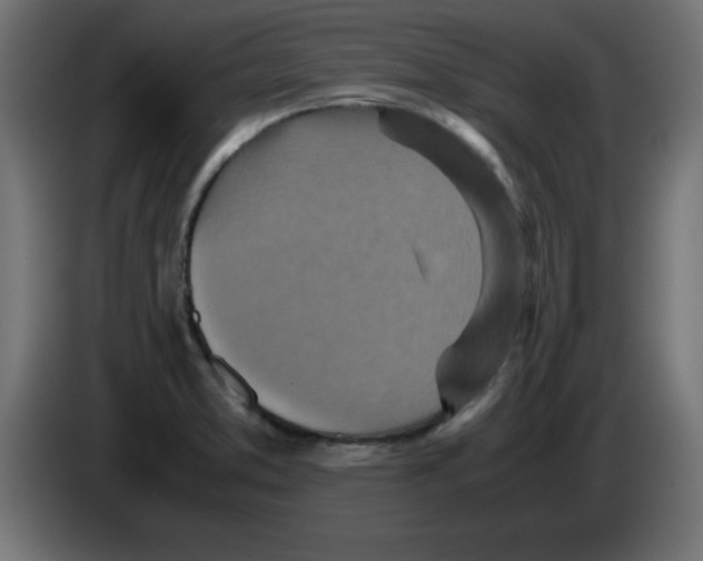 X0000083031373200703022016