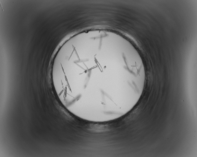 X0000083031374200703022016