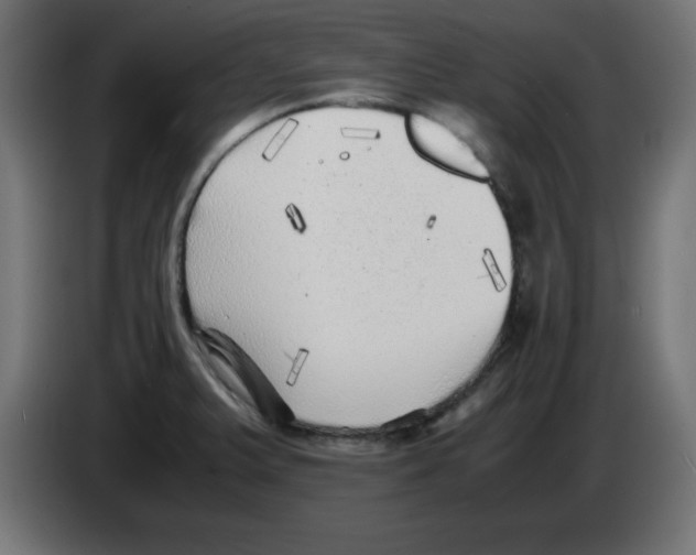 X0000083031375200703022016