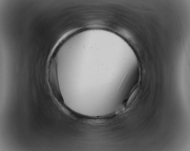 X0000083031376200703022016