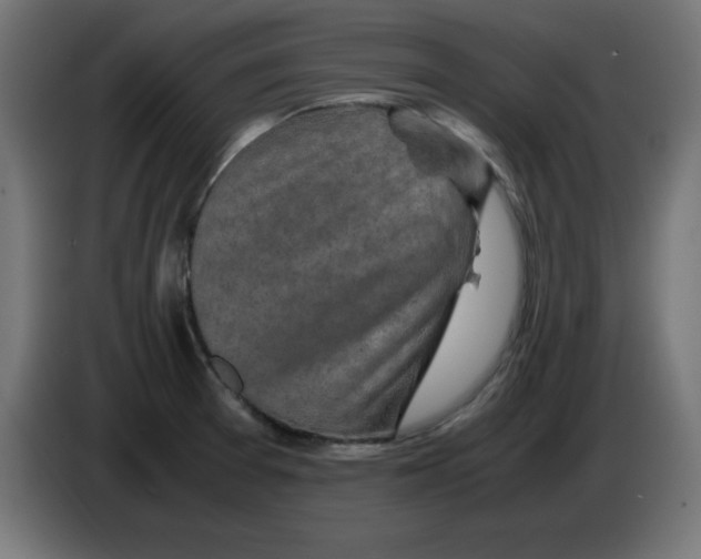 X0000083031377200703022016