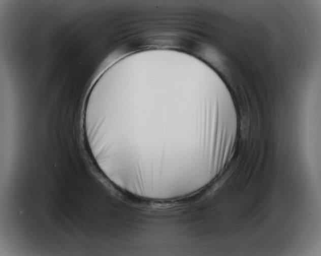 X0000083031378200703022016