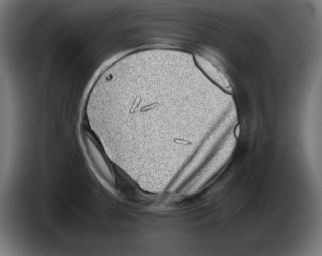 X0000083031379200703022016