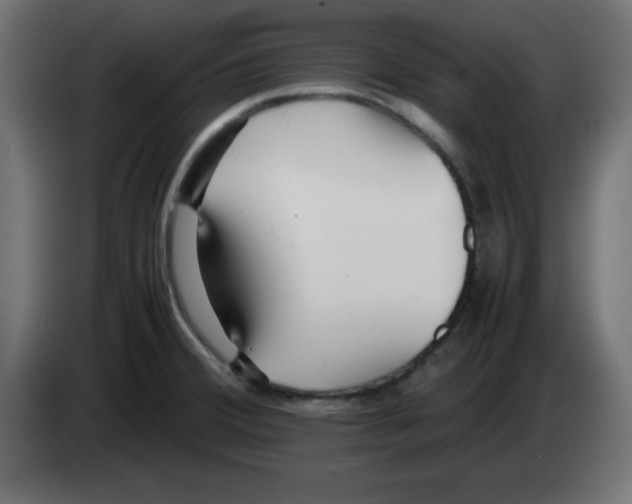 X0000083031380200703022016