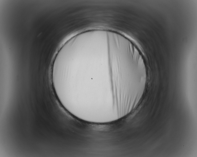 X0000083031382200703022016