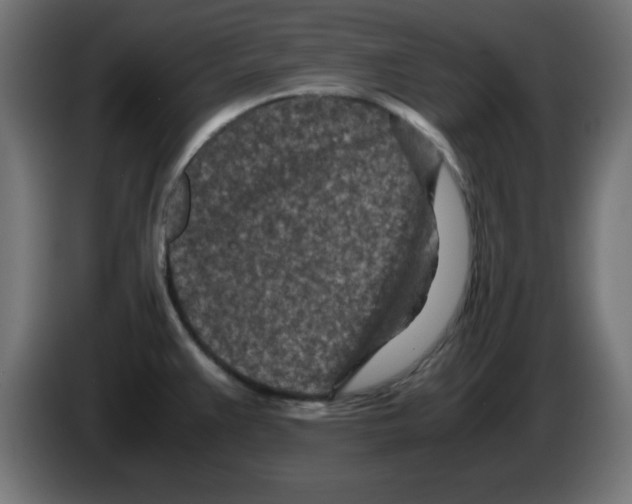 X0000083031383200703022016