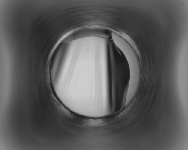 X0000083031384200703022016