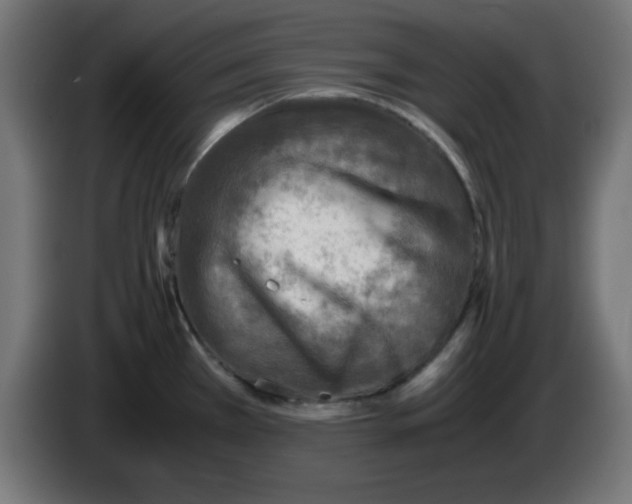 X0000083031385200703022016