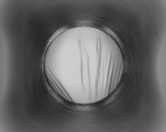 X0000083031386200703022016