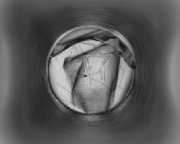 X0000083031388200703022016