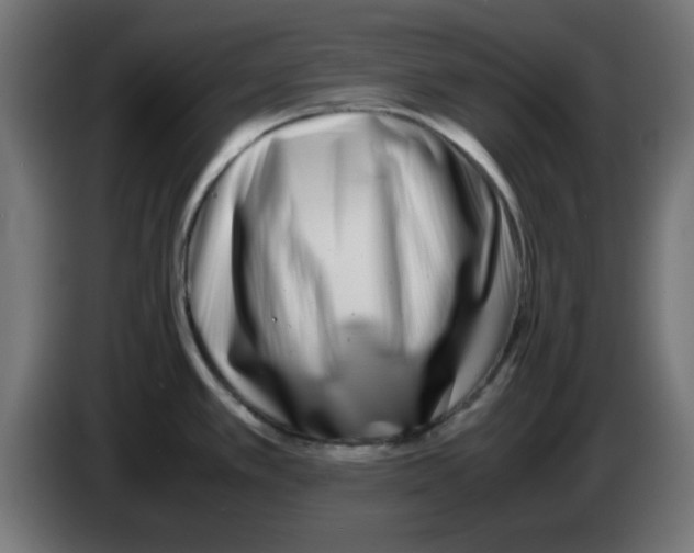 X0000083031389200703022016