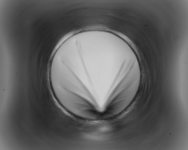 X0000083031390200703022016