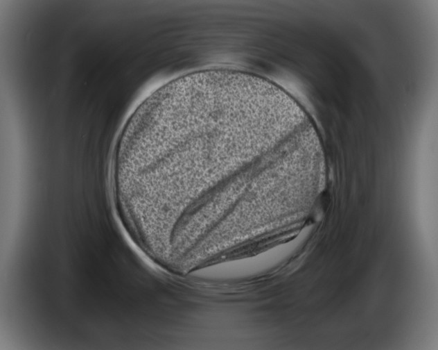 X0000083031391200703022016