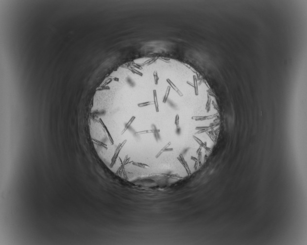 X0000083031393200703022016