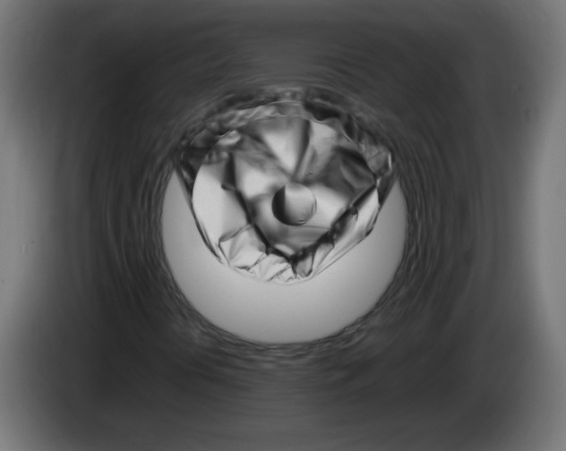 X0000083031394200703022016