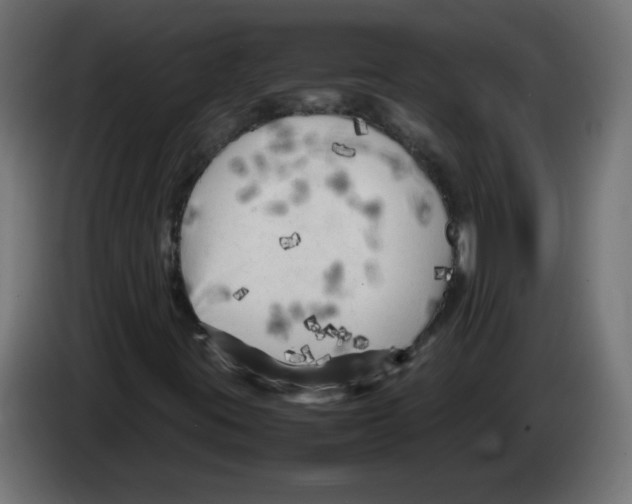 X0000083031395200703022016