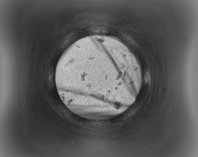 X0000083031396200703022016