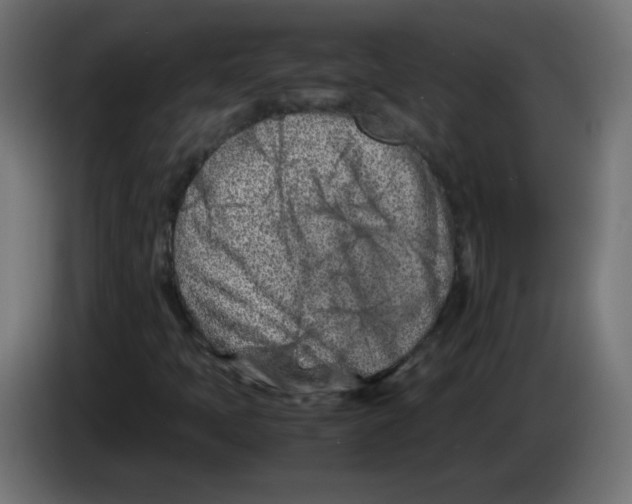 X0000083031397200703022016