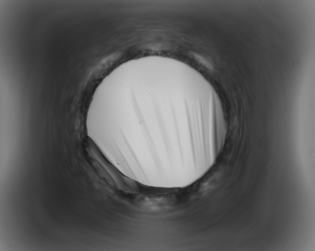 X0000083031398200703022016