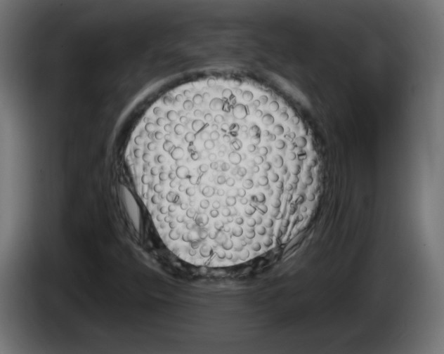 X0000083031400200703022016