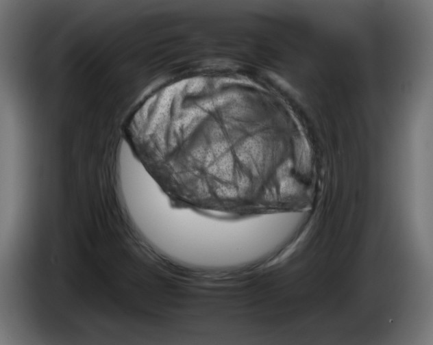 X0000083031401200703022016