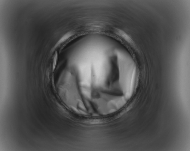 X0000083031402200703022016