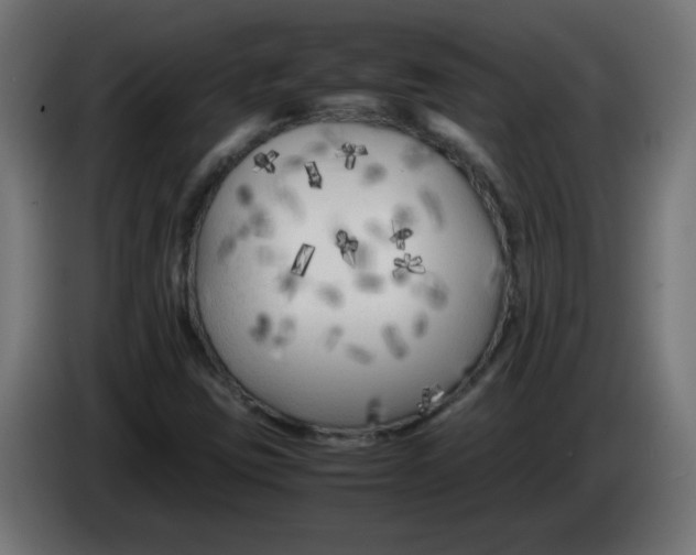 X0000083031403200703022016