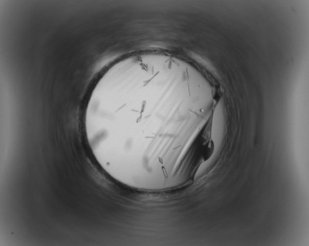 X0000083031404200703022016