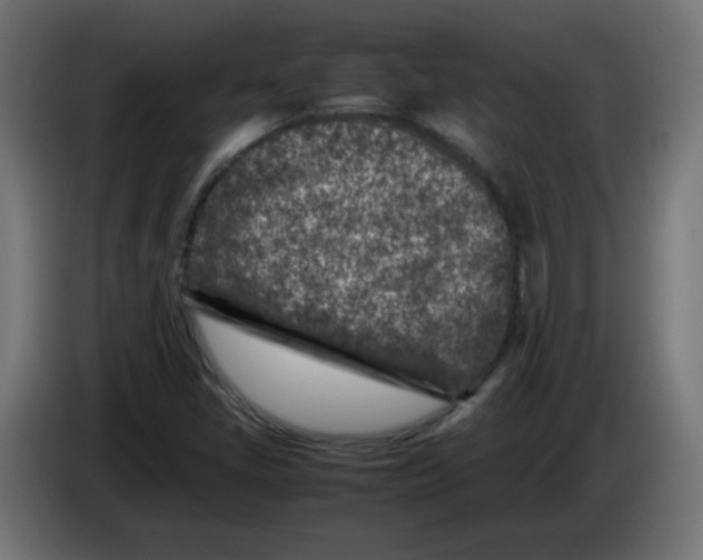 X0000083031405200703022016