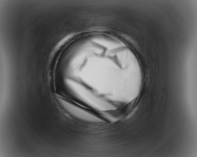 X0000083031406200703022016