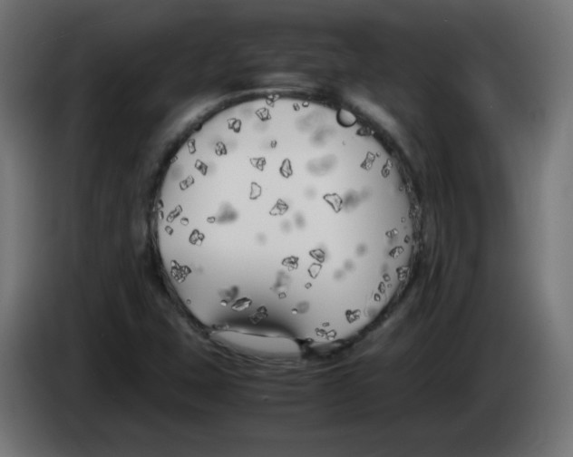 X0000083031407200703022016