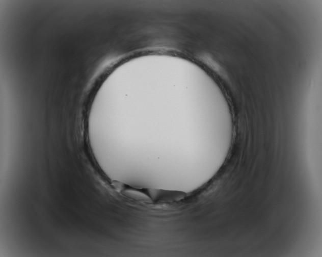 X0000083031408200703022016