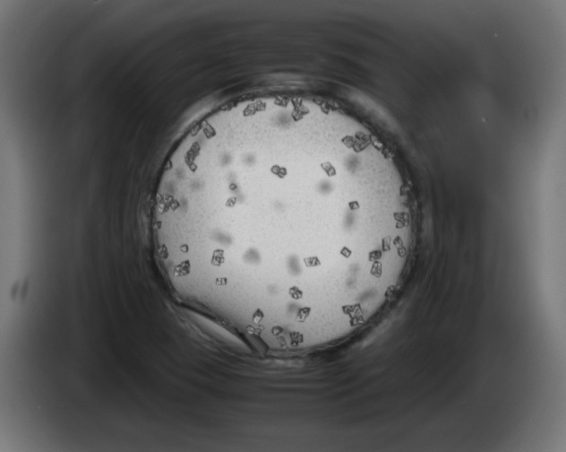 X0000083031409200703022016