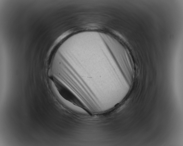 X0000083031410200703022016