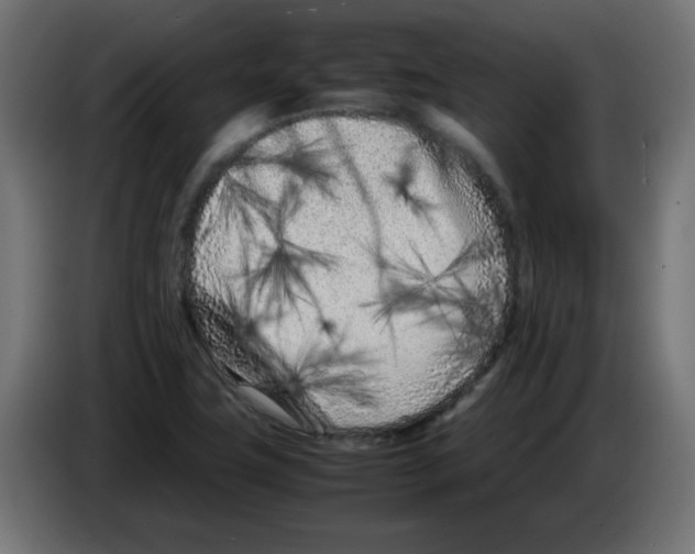 X0000083031411200703022016