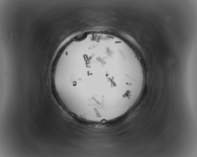 X0000083031412200703022016