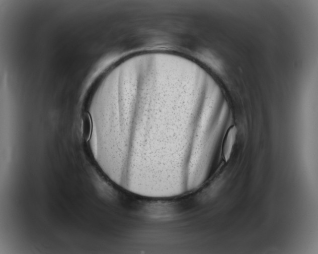 X0000083031414200703022016