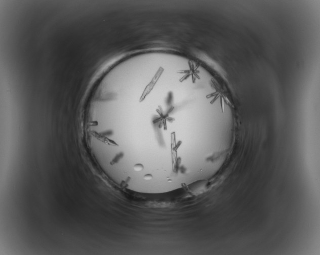 X0000083031415200703022016