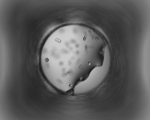 X0000083031416200703022016