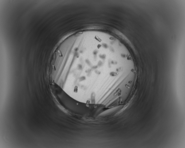 X0000083031417200703022016