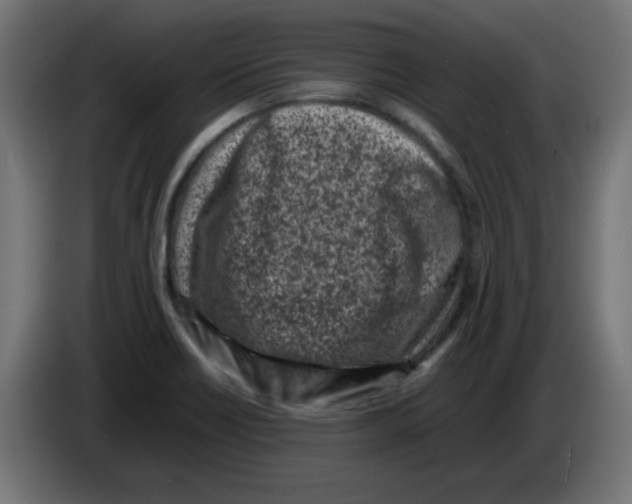 X0000083031418200703022016