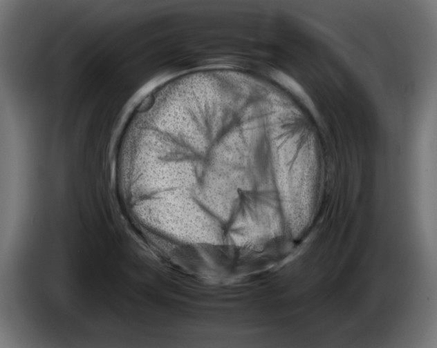 X0000083031419200703022016