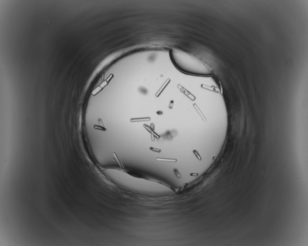 X0000083031420200703022016