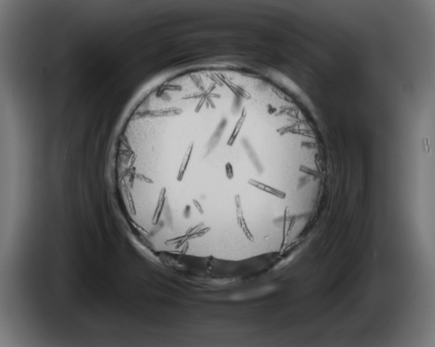 X0000083031421200703022016